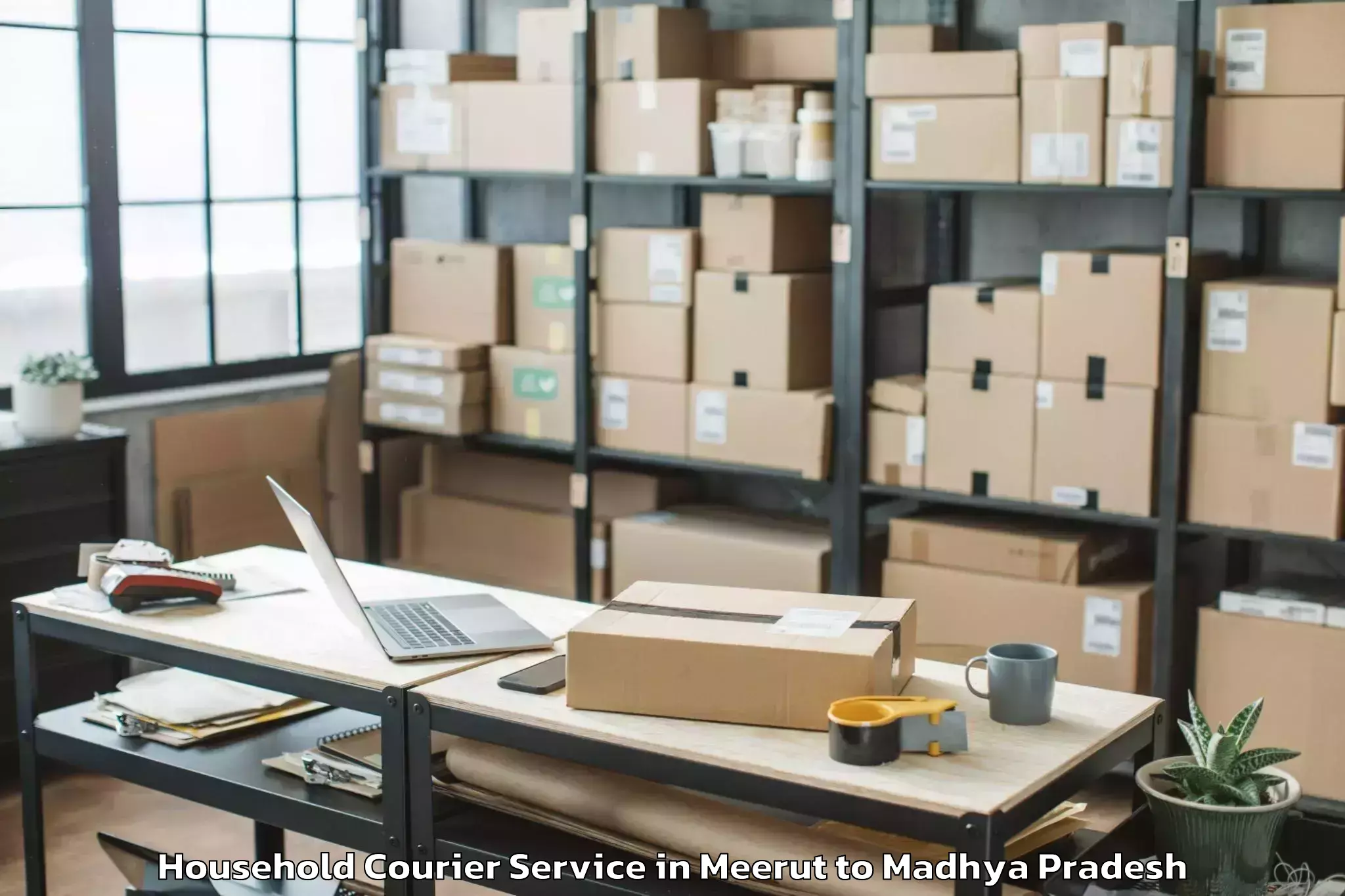 Book Meerut to Thikri Household Courier Online